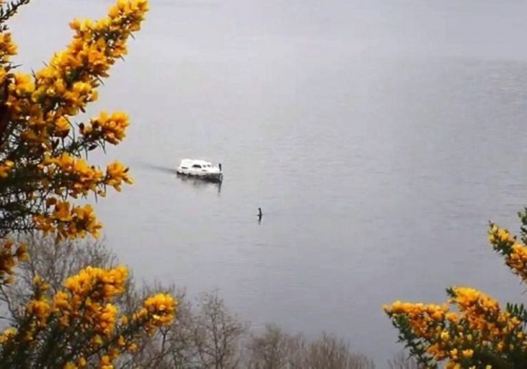 Il Mostro di Lochness esiste veramente. Ecco un video che lo immortala